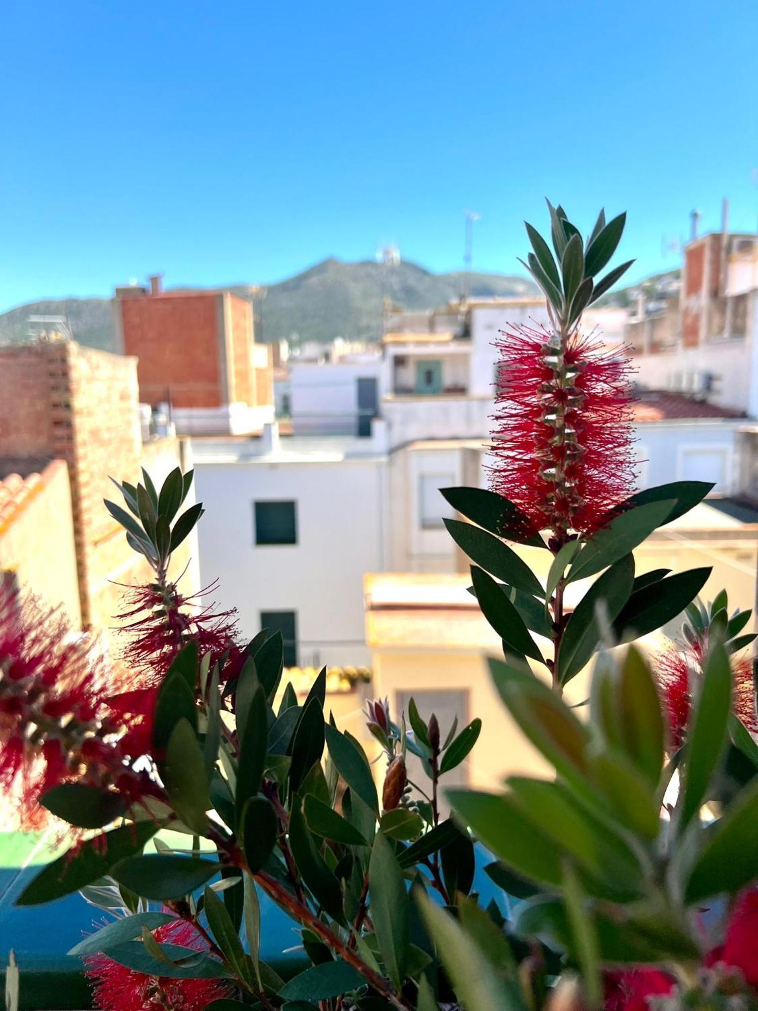 Escondite Central Con Terraza Compartida En La Azotea Roses Dış mekan fotoğraf